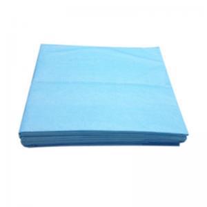 Disposable bed sheet1